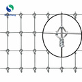 Hinged Joint Galvanized Wire Mesh Netting Deer Fencing mesh Roll Fixed Knot Cattle Sheep Field Farm Fence